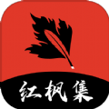 WWW,806av·COM网站APPAPP应用