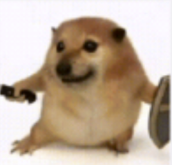 色多多网站